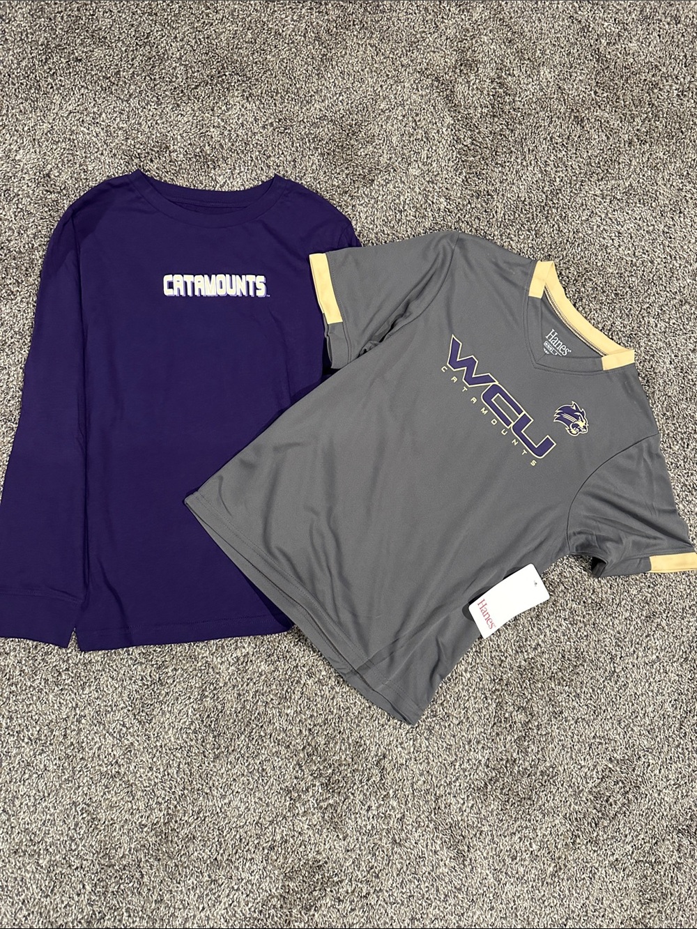 Kids WCU Purple Long Sleeve & Gray Short Sleeve Tee Set